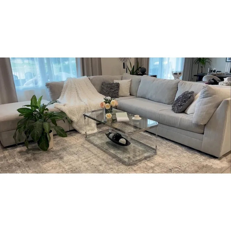 Tavolino da Caffè Rettangolare a 2 Ripiani in Vetro Argentato (Montaggio a 1 Persona)